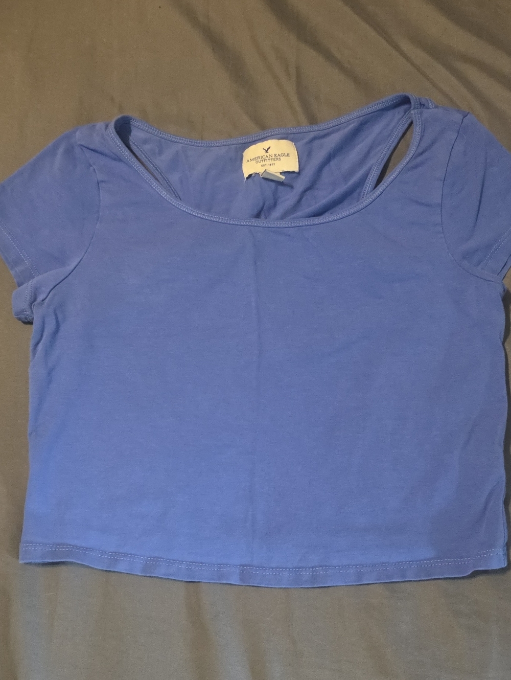 Vintage American Eagle Outfitters Periwinkle Scoop Neck Crop Top W/ Cutout Back